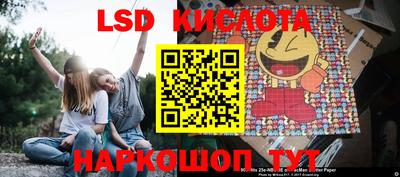 стафф Ставрополь
