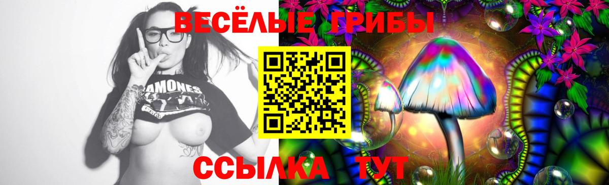Псилоцибиновые грибы Psilocybine cubensis Нерюнгри